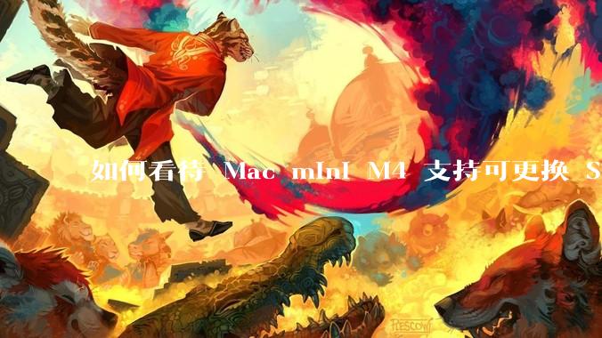 如何看待 Mac mini M4 支持可更换 SSD？