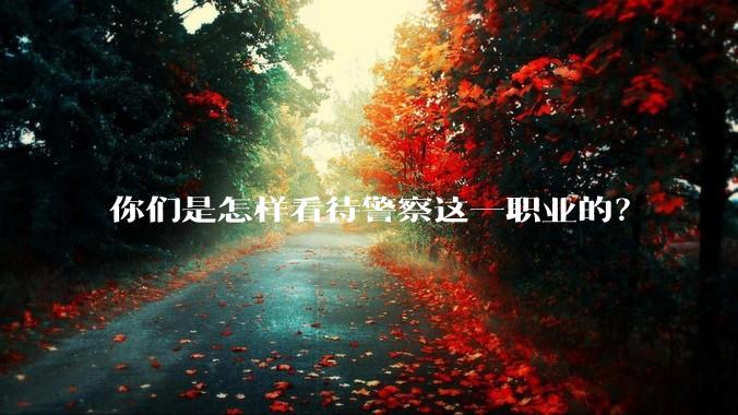 你们是怎样看待警察这一职业的？