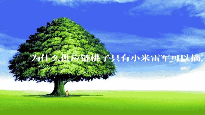 为什么供应链桃子只有小米雷军可以摘，其他人只能干瞪眼？