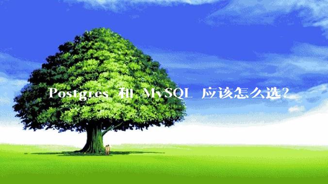 Postgres 和 MySQL 应该怎么选？