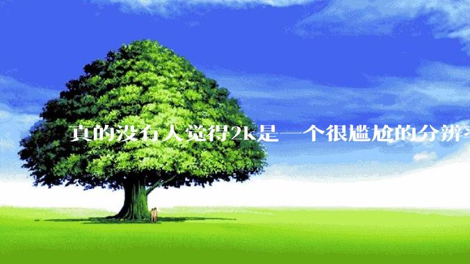 真的没有人觉得2k是一个很尴尬的分辨率吗？