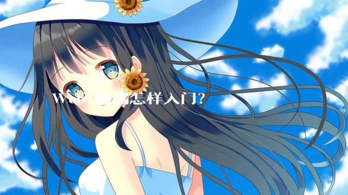 Web 前端怎样入门？