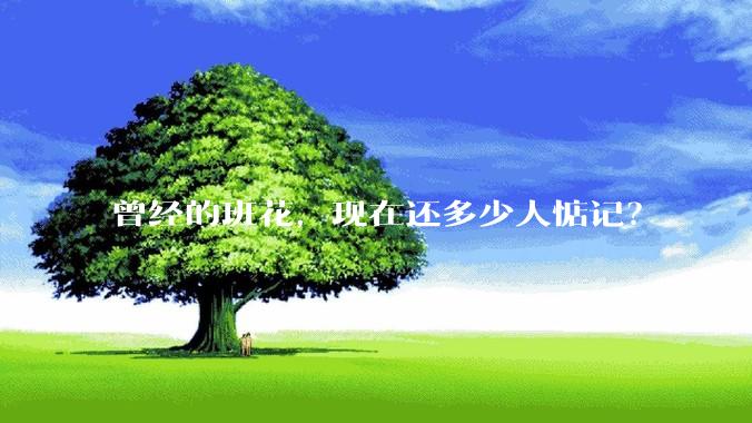曾经的班花，现在还多少人惦记？