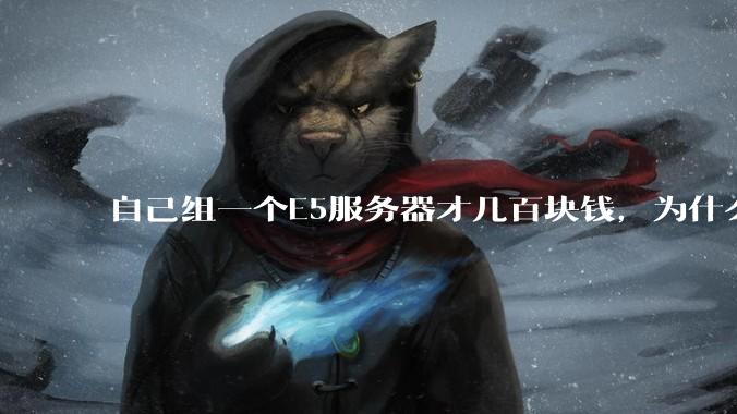自己组一个E5服务器才几百块钱，为什么去阿里云租这么贵?