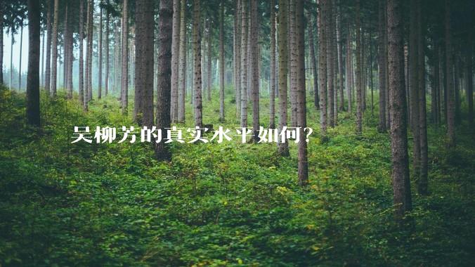 吴柳芳的真实水平如何？
