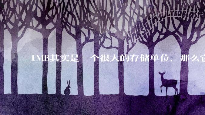 1MB其实是一个很大的存储单位，那么它的存储容量究竟有多大？