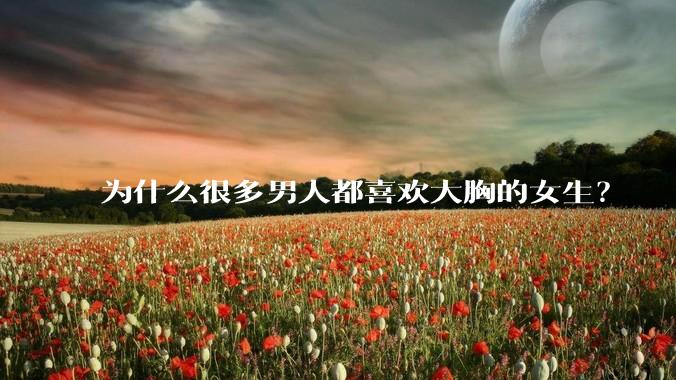 为什么很多男人都喜欢大胸的女生？