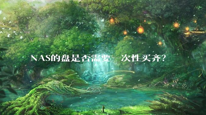 NAS的盘是否需要一次性买齐？