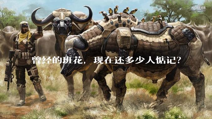 曾经的班花，现在还多少人惦记？