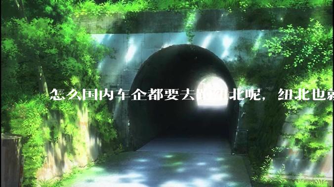 怎么国内车企都要去跑纽北呢，纽北也就是个普通赛道?