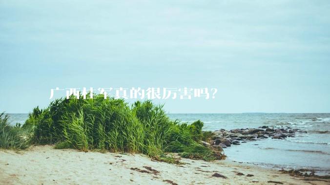 广西桂军真的很厉害吗？