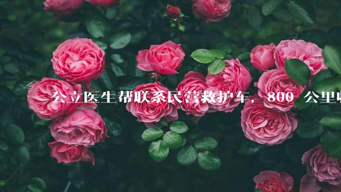 公立医生帮联系民营救护车，800 公里收费 2.8 万元，收费合理吗？救护车收费标准是什么？