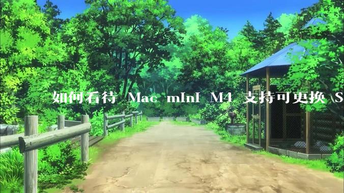 如何看待 Mac mini M4 支持可更换 SSD？