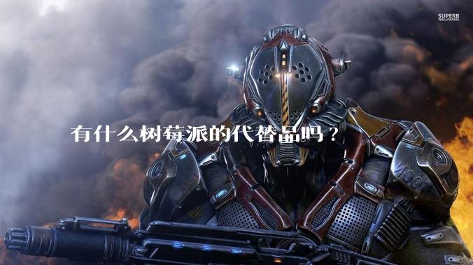 有什么树莓派的代替品吗?