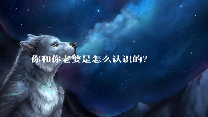 你和你老婆是怎么认识的？