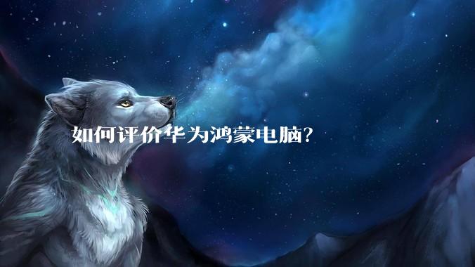 如何评价华为鸿蒙电脑？