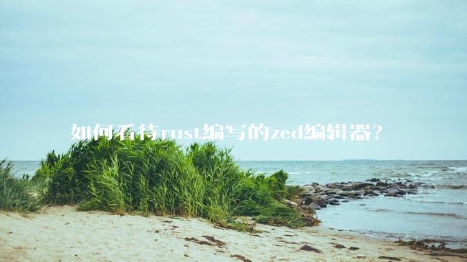 如何看待rust编写的zed编辑器？