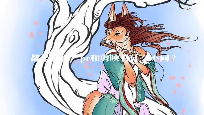 都是剪辑，pr和剪映有什么不同?