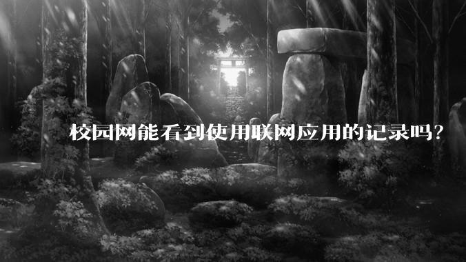 校园网能看到使用联网应用的记录吗？
