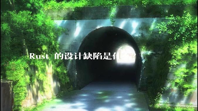 Rust 的设计缺陷是什么？