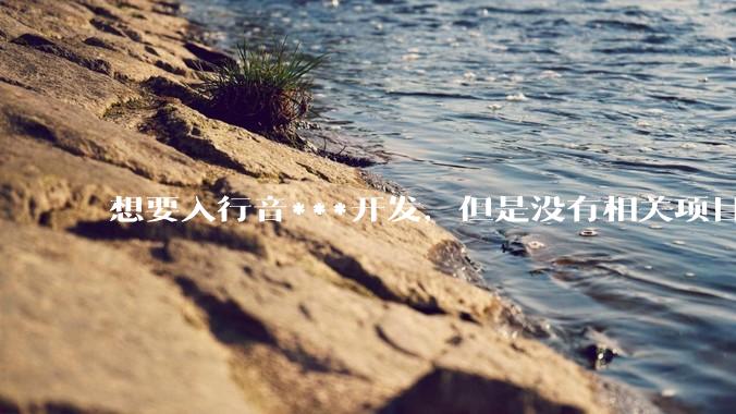 想要入行音***开发，但是没有相关项目经验怎么办？