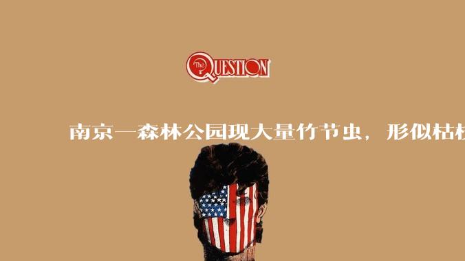 南京一森林公园现大量竹节虫，形似枯枝，网友称凑近才发现是虫子落荒而逃，竹节虫会不会咬人？碰到它会怎样？